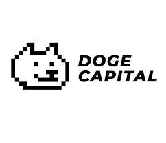 Doge Capital- best NFT staking platform